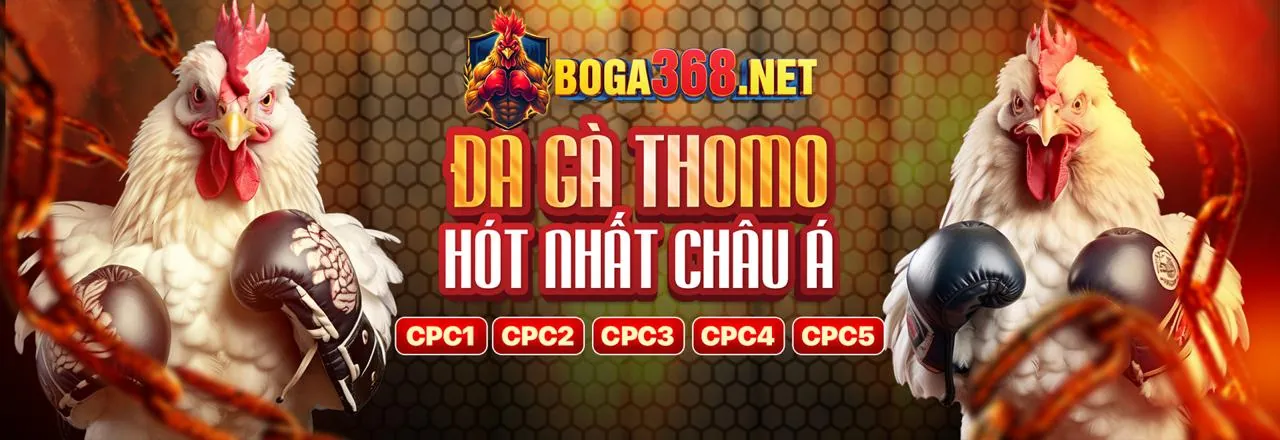 Ứng dụng di động daga88 truc tiep
